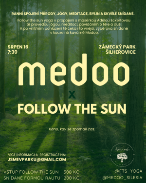 Meddo x Follow the sun