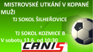 Mistrovské utkání